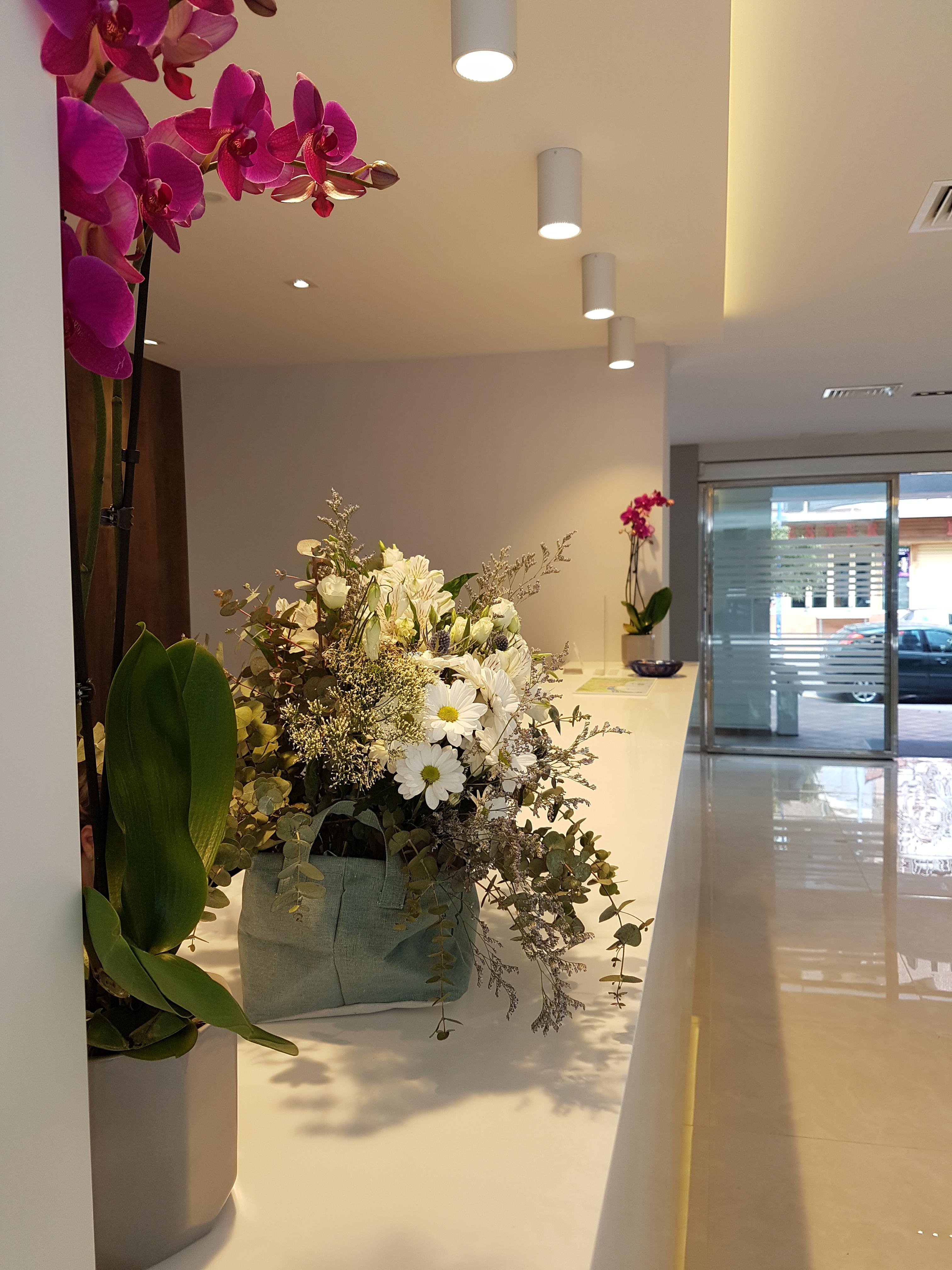 Hotel Perla Benidorm Zewnętrze zdjęcie